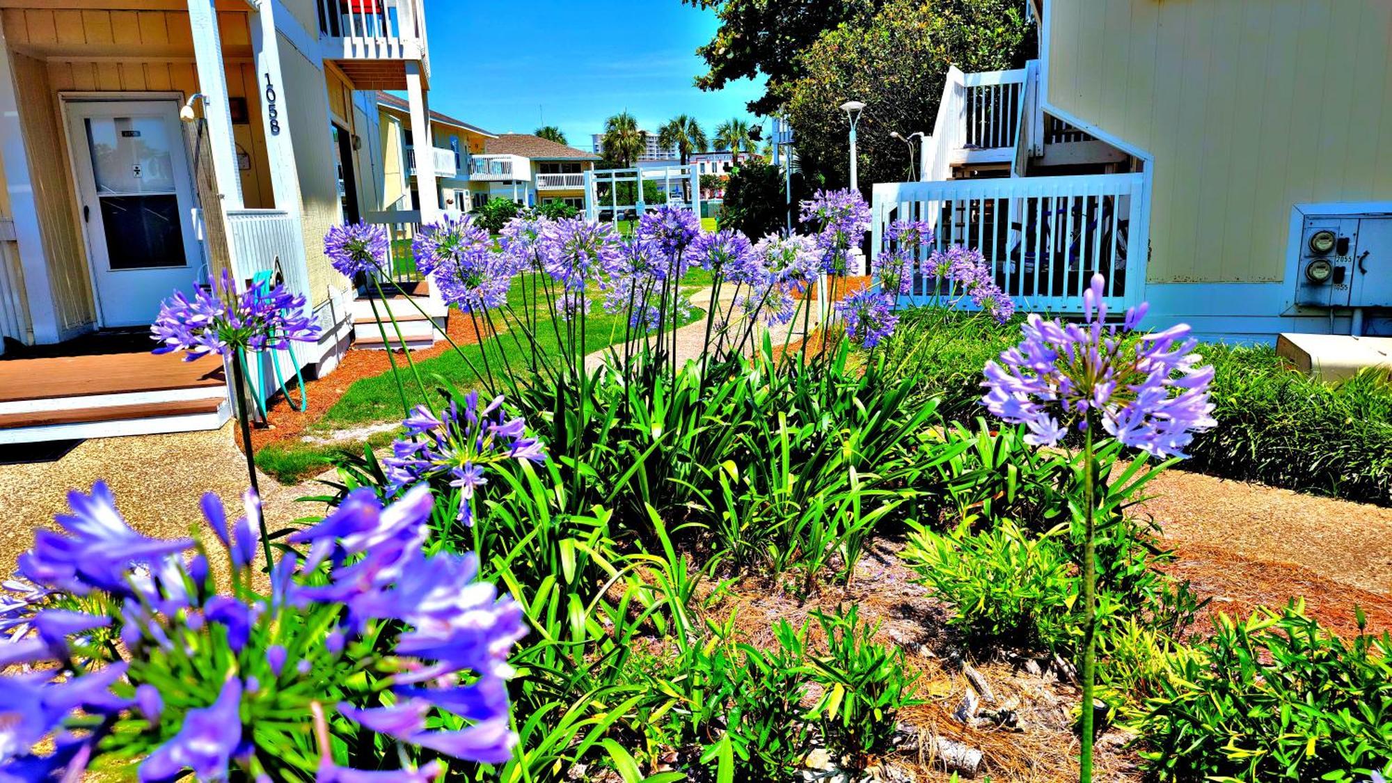 Boathouse Condo, Downtown Destin Harbor, Private Beach Access, Waterfront, On Golf Course, Water Taxi Pickup Exteriör bild